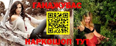 тгк Ставрополь