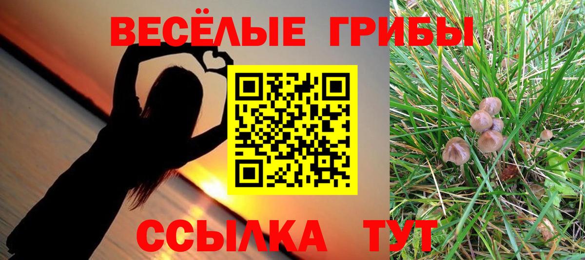 Псилоцибиновые грибы GOLDEN TEACHER Нурлат