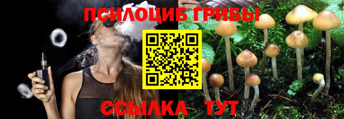 Нурлат  Псилоцибиновые грибы Magic Shrooms  Вход с VPN 